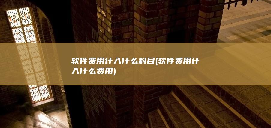 软件费用计入什么费用