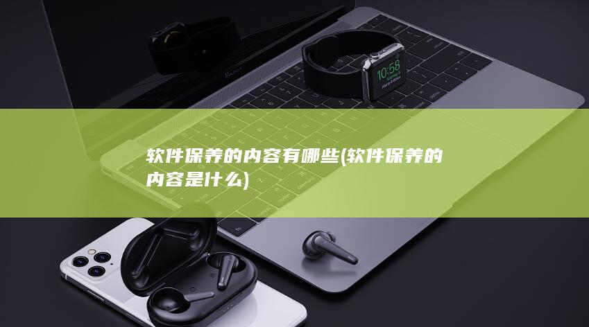 软件保养的内容是什么