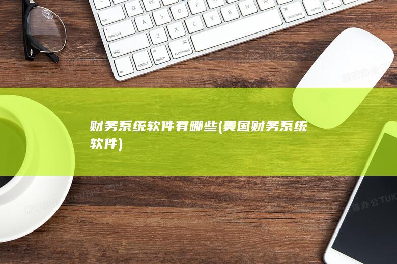 美国财务系统软件