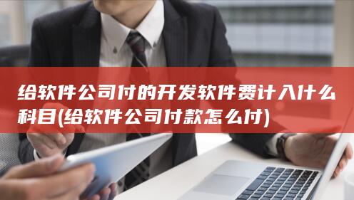 给软件公司付款怎么付
