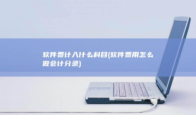 软件费用怎么做会计分录