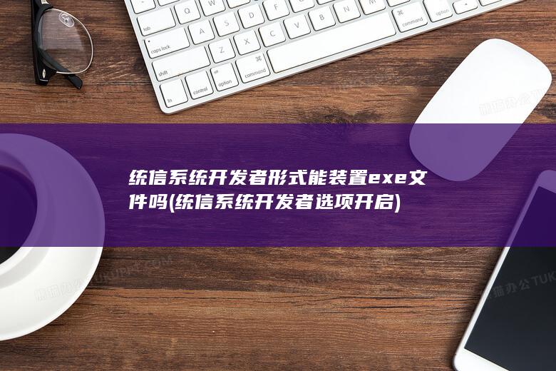 统信系统开发者形式能装置exe文件吗