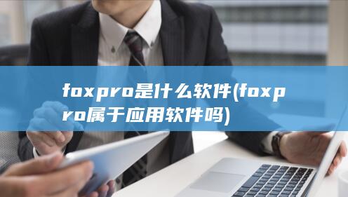 foxpro属于应用软件吗