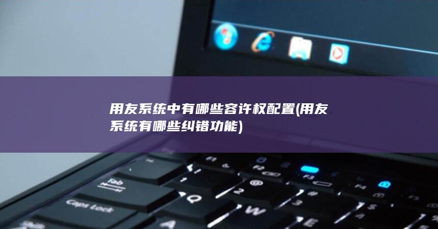 用友系统有哪些纠错功能