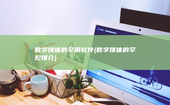 数字媒体的罕用软件