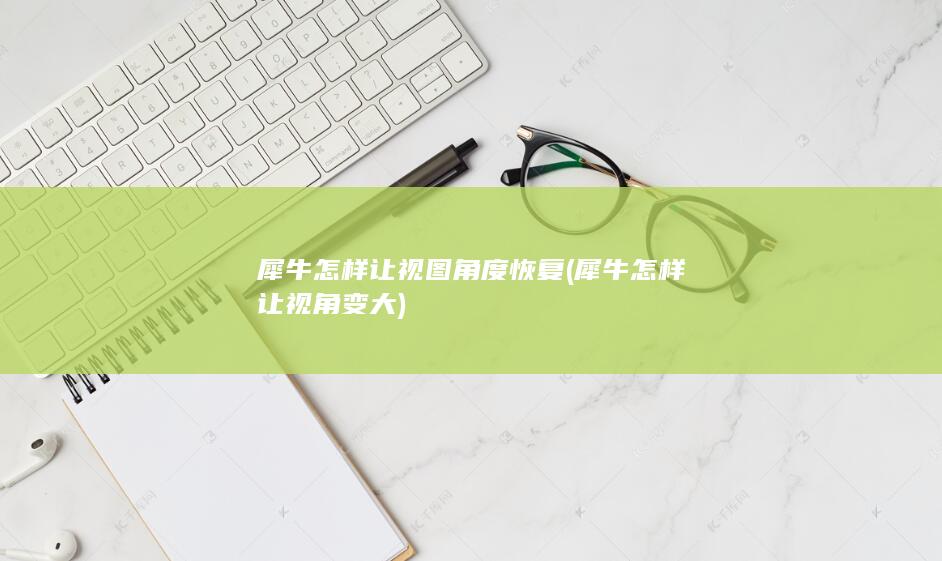 犀牛怎样让视角变大