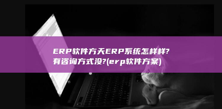 erp软件方案
