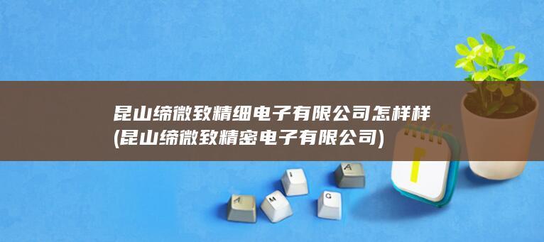 昆山缔微致精密电子有限公司
