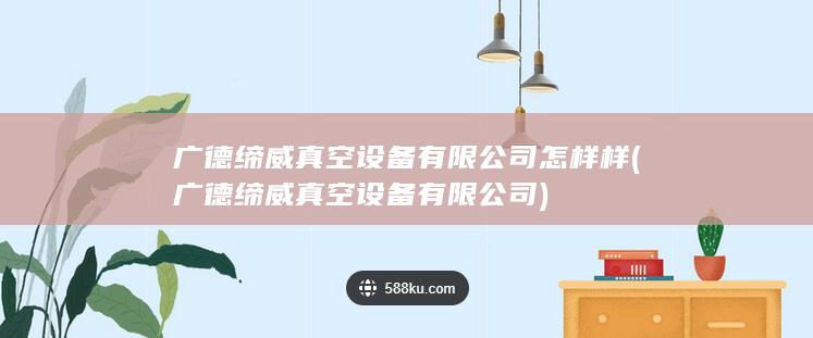 广德缔威真空设备有限公司怎样样
