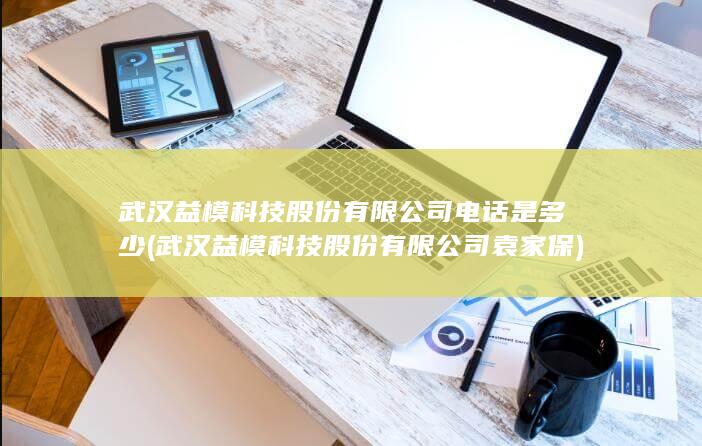 武汉益模科技股份有限公司电话是多少