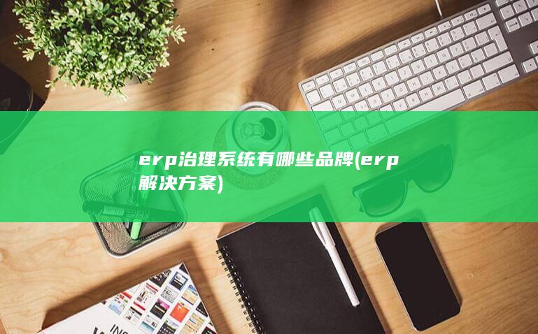 erp治理系统有哪些品牌
