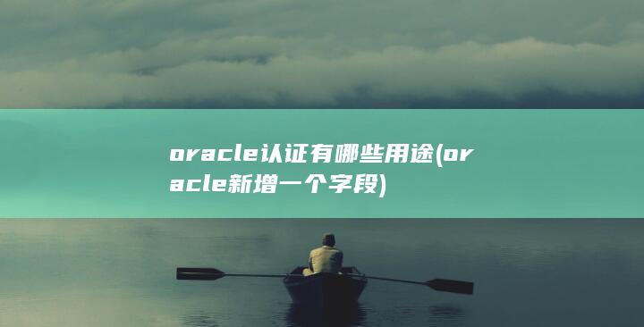 oracle新增一个字段