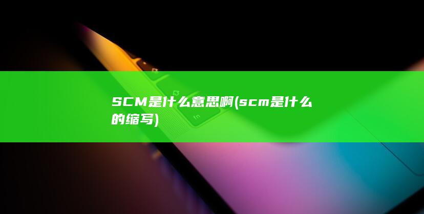 SCM是什么意思啊