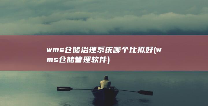 wms仓储管理软件