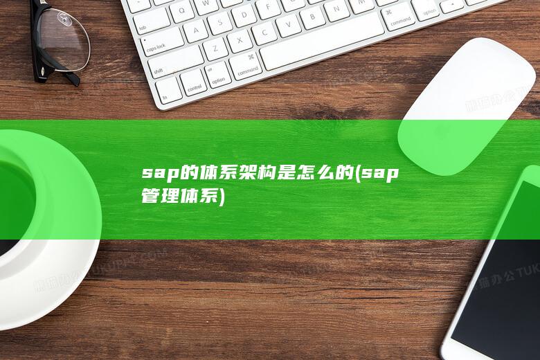 sap管理体系